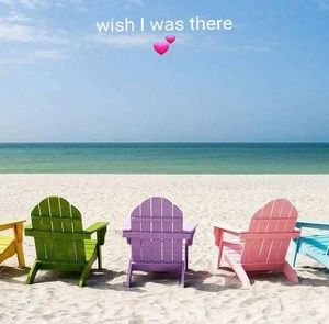 Meet your Posher, Darlene